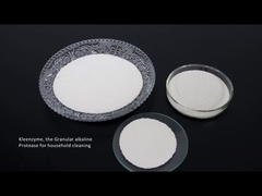 เอนไซม์ผงซักฟอก โปรตีเอส เซลลูเลส อะไมเลส