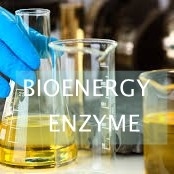 ราคาดี ISO Lipase เร่งปฏิกิริยาการเปลี่ยนน้ำมันปรุงอาหารเหลือทิ้งเป็นไบโอดีเซล ออนไลน์