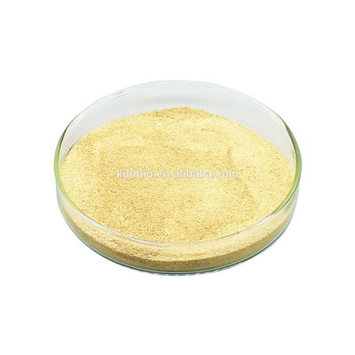 ราคาดี น้ำมันน้ำเอนไซม์ไลเปสใช้ในอุตสาหกรรมไขมันไบโอคาทาไลซิสเพิ่มความสามารถในการย่อยสลายไขมัน ออนไลน์