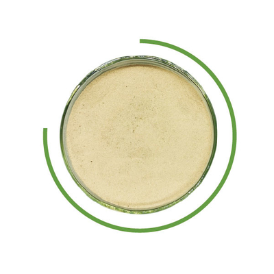 ราคาดี Denim Washing Abrasion Cellulase Enzyme Neutral Enzyme Cellulase Jeans Granule ออนไลน์