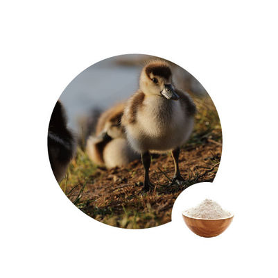 ราคาดี 10,000u G กลูโคสออกซิเดสในอุตสาหกรรมอาหาร Ec จำนวน 1.1.3.4 เอนไซม์สัตว์ปีก ออนไลน์