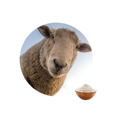 ราคาดี เอนไซม์กลูโคสออกซิเดสที่ตรึงด้วยตัวเร่งปฏิกิริยาในอุตสาหกรรมอาหารสารพิษสารพิษสำหรับโคนม ออนไลน์