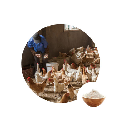 ราคาดี อาหารเสริมกลูโคสออกซิเดสเอนไซม์ผลิตไฮโดรเจนเปอร์ออกไซด์ที่ใช้ในอาหารสัตว์ปีก ออนไลน์