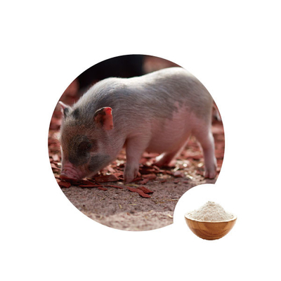 ราคาดี Gox Glucose Oxidase Feed Additive สำหรับสัตว์ปีกสารพิษจากธรรมชาติสำหรับสุกร ออนไลน์