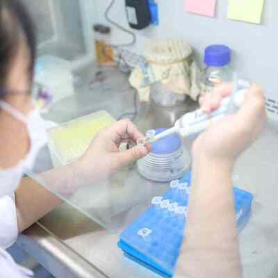 ราคาดี เปปติดและกรดอะมิโนปฏิกิริยา Enzyme เครื่องซักฟอก เหมาะสมกับสารซักฟอกอื่น ๆ ที่ทํางานระหว่าง 15 ถึง 60 °C ออนไลน์