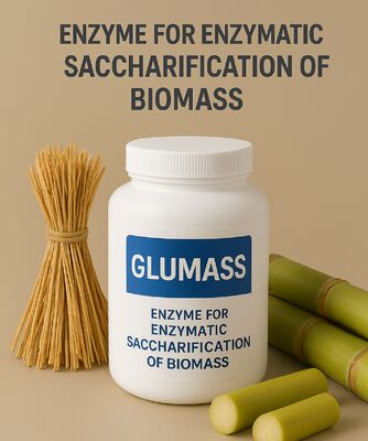 ราคาดี เอ็นไซม์ประสิทธิภาพสูงสําหรับการทําซากอารมณ์ชีวพฤกษ์อย่างสมบูรณ์แบบ ออนไลน์