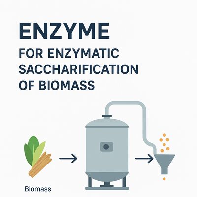 ราคาดี กระบวนการ enzymatic ที่ยั่งยืนและมิตรต่อสิ่งแวดล้อมที่อ่อนแอที่นําเสนอทางเลือกยั่งยืนที่อ่อนโยนสําหรับการผลิตอุตสาหกรรมที่สติปัญญา ออนไลน์