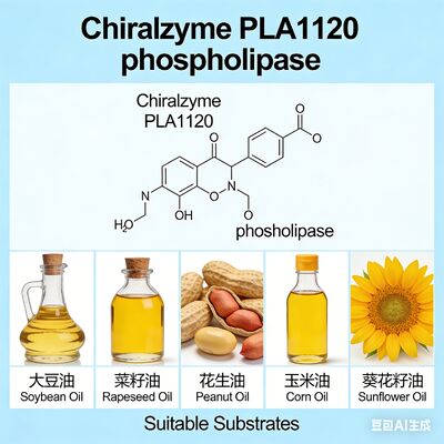 ราคาดี Chiralzyme PLA1120 ธ อร์ฟอสโฟลิเปซ A1 ที่มีประสิทธิภาพสูง สําหรับการล้างน้ํามัน KDN ออนไลน์