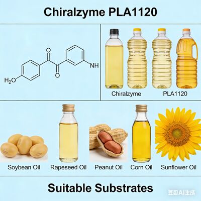 ราคาดี Chiralzyme PLA1120 | เอนไซม์เกรดอาหารสำหรับการกลั่นน้ำมันที่ประหยัดต้นทุน ออนไลน์